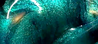 sequenz #1(3) 000924 sequenz #1(3) 000924